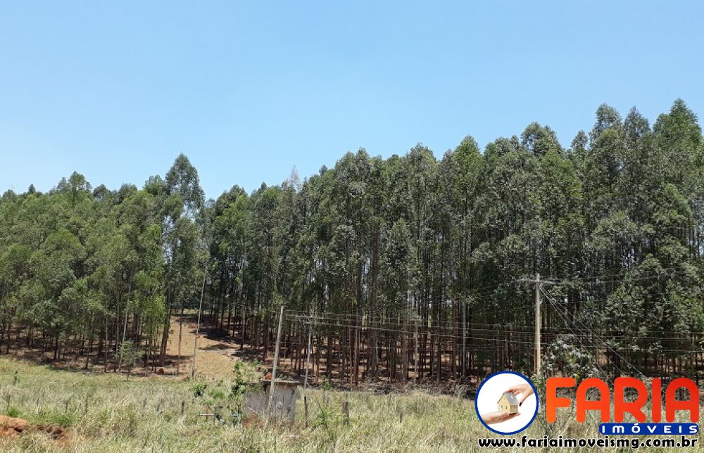 198 - Lote/Terreno à venda no bairro CAPOEIRA GRANDE / ONÇA PITANGUI - Faria Imóveis 15