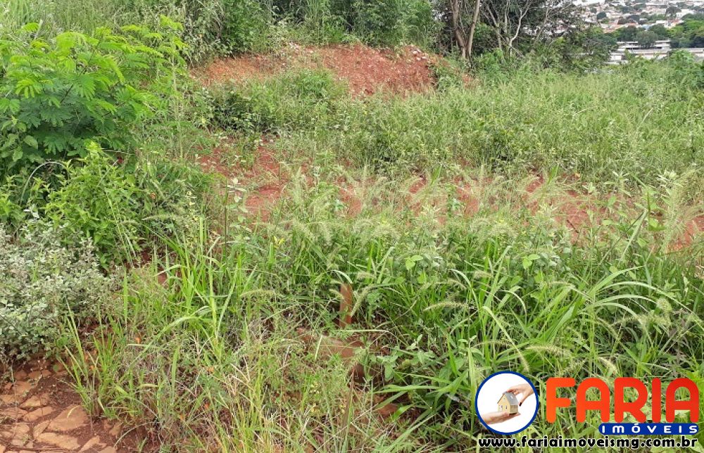 300 - Lote/Terreno à venda no bairro SENADOR VALADARES - Faria Imóveis 2