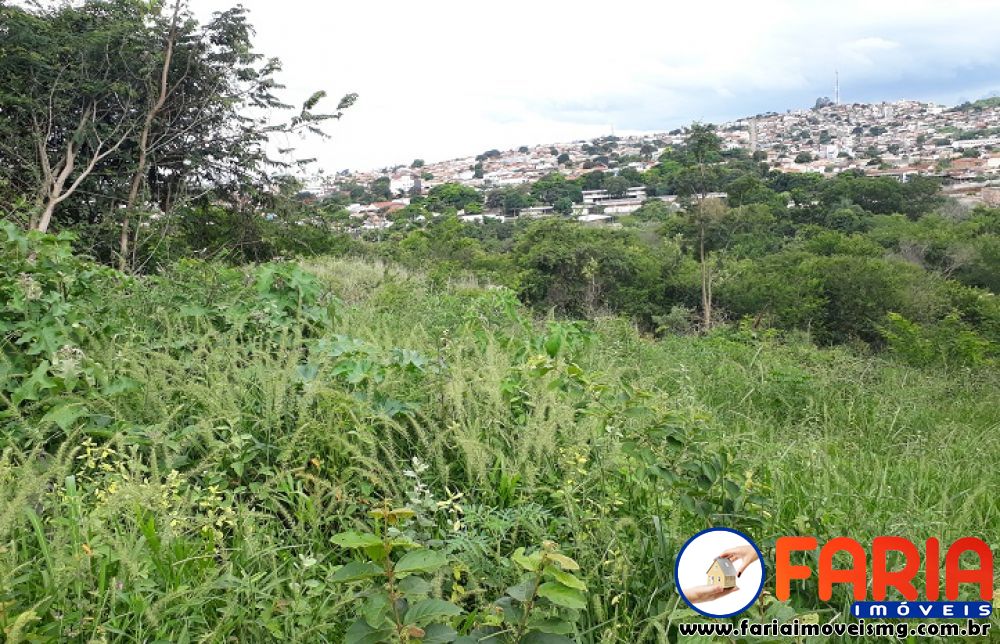 300 - Lote/Terreno à venda no bairro SENADOR VALADARES - Faria Imóveis 3
