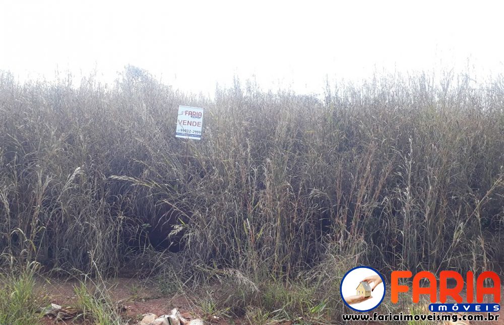 331 - Lote/Terreno à venda no bairro SENADOR VALADARES - Faria Imóveis 1