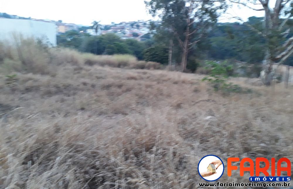 371 - Lote/Terreno à venda no bairro DOM BOSCO - Faria Imóveis 0