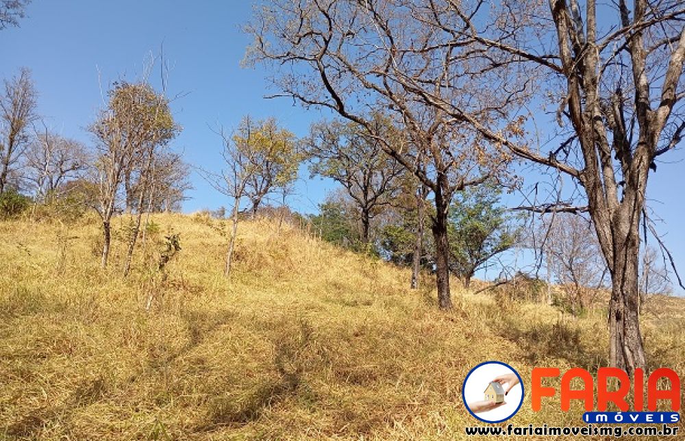 379 - Chácara à venda no bairro ANTUNES - Faria Imóveis 3