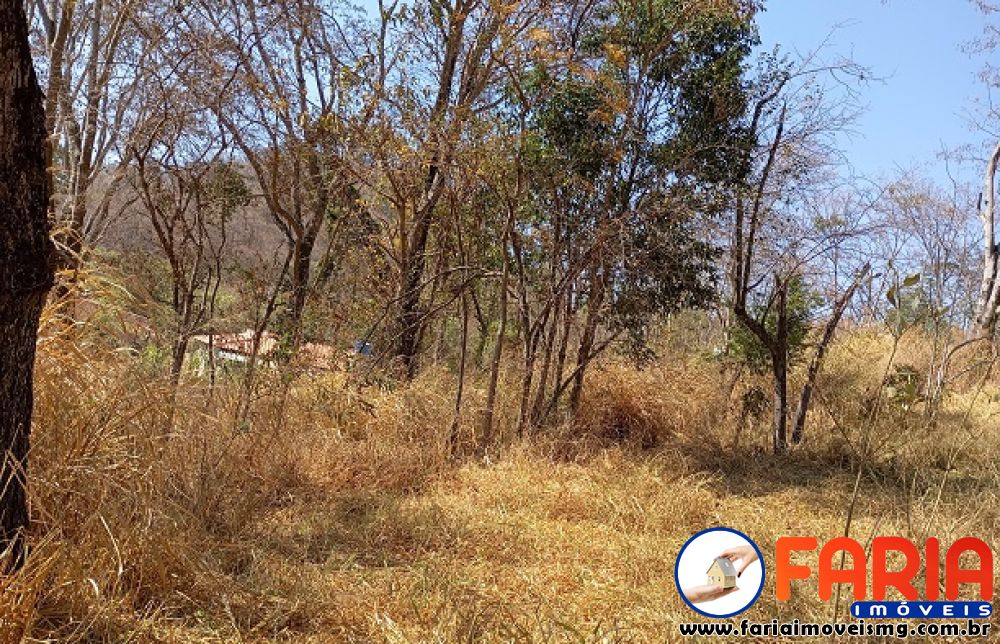 379 - Chácara à venda no bairro ANTUNES - Faria Imóveis 4