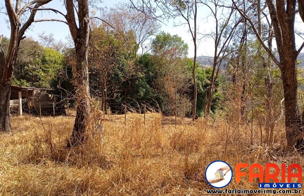 379 - Chácara à venda no bairro ANTUNES - Faria Imóveis 7