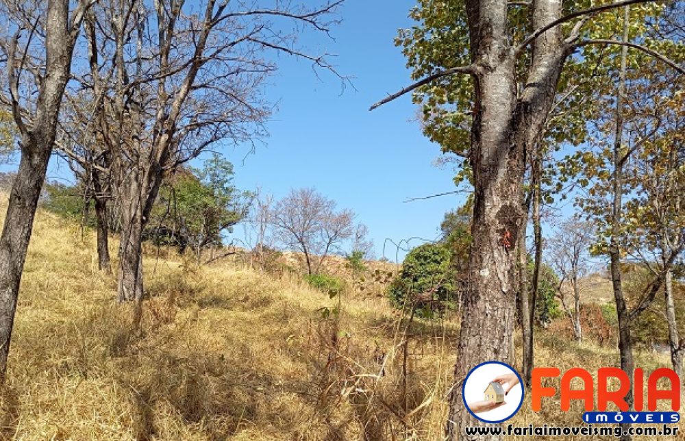 379 - Chácara à venda no bairro ANTUNES - Faria Imóveis 9