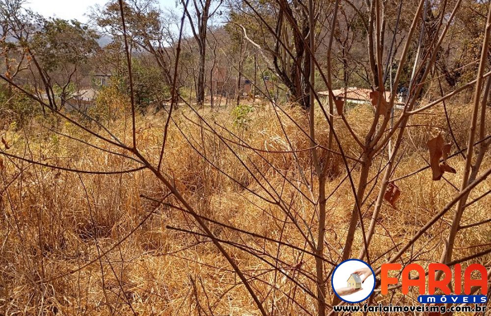 379 - Chácara à venda no bairro ANTUNES - Faria Imóveis 11