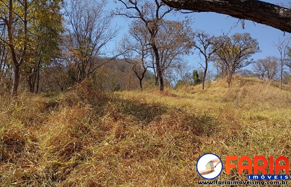 379 - Chácara à venda no bairro ANTUNES - Faria Imóveis 12