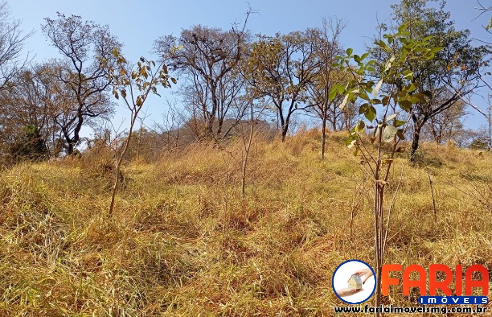 379 - Chácara à venda no bairro ANTUNES - Faria Imóveis 13